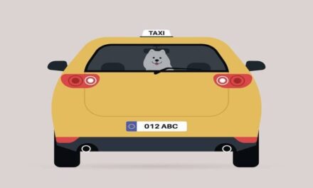 Taxi Animalier Longue Distance